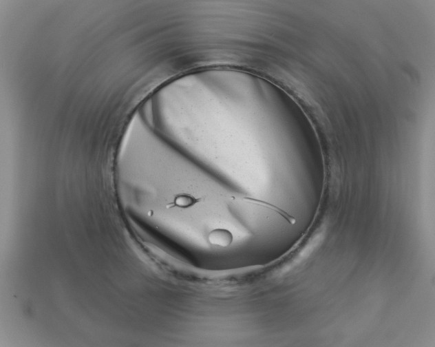 X0000113001137200909101750