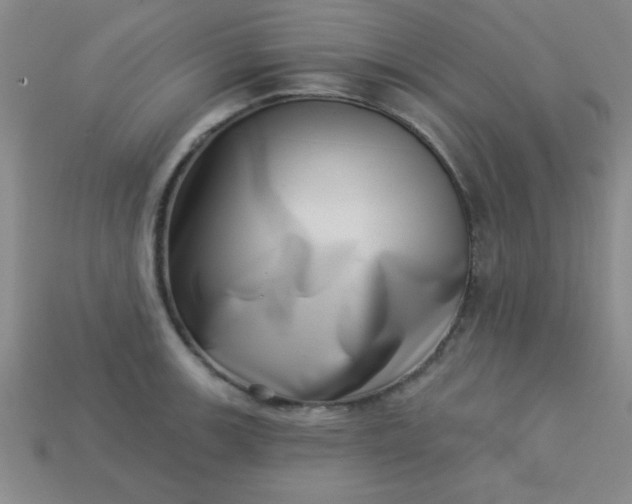 X0000113001139200909101750