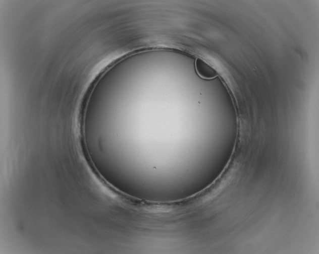 X0000113001141200909101750