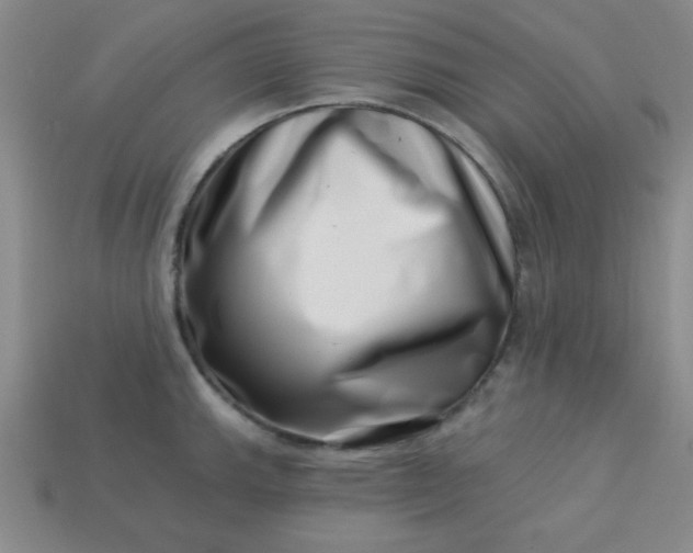 X0000113001143200909101750