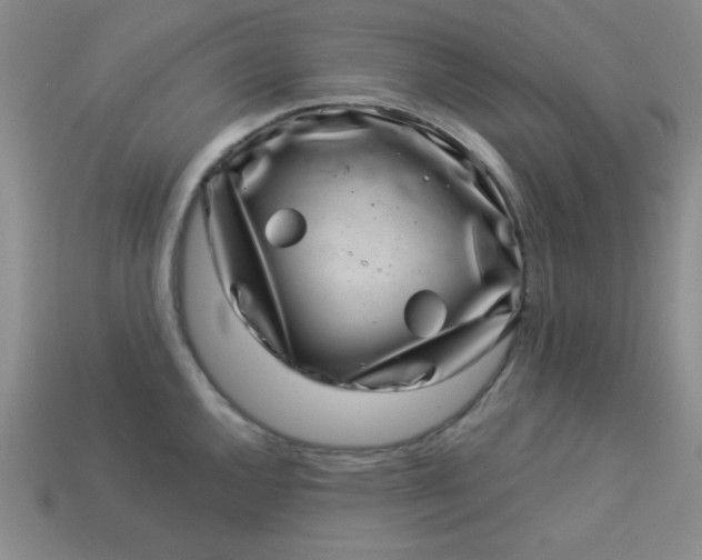 X0000113001144200909101750