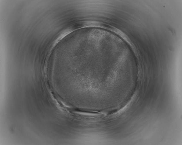 X0000113001145200909101750