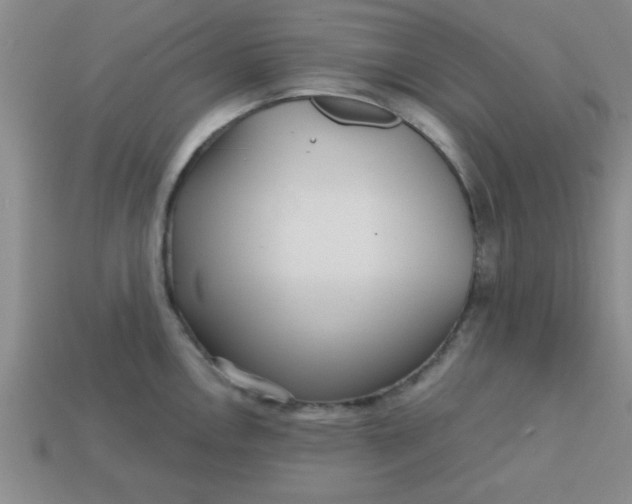 X0000113001146200909101750