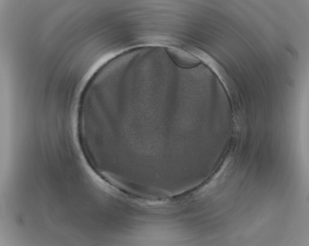 X0000113001147200909101750