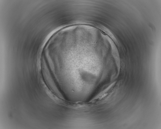 X0000113001148200909101750