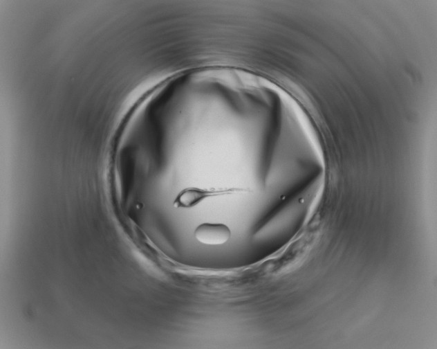 X0000113001149200909101750