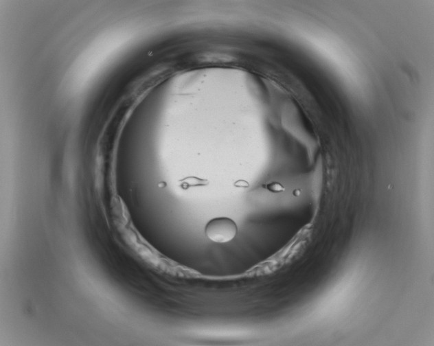 X0000113001151200909101750