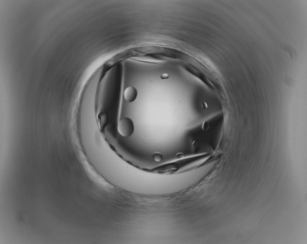 X0000113001152200909101750