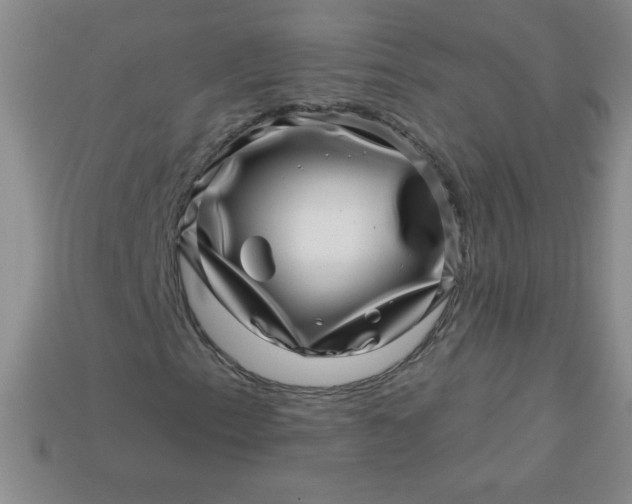 X0000113001153200909101750