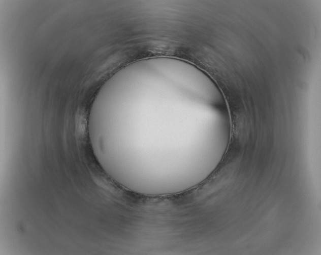 X0000113001154200909101750