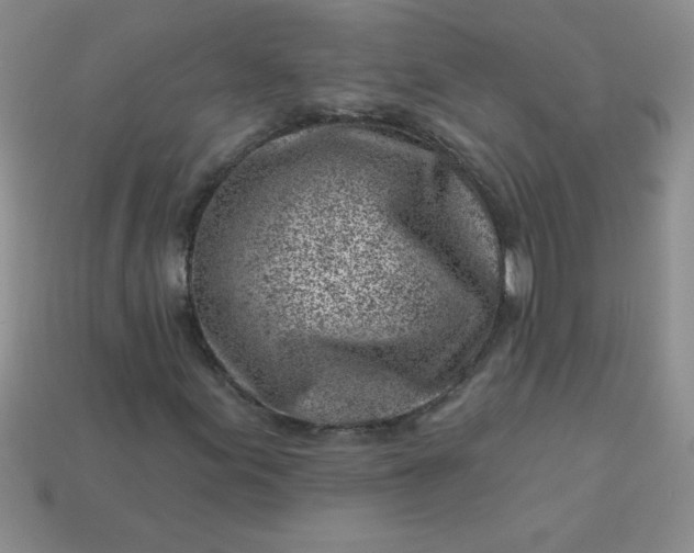 X0000113001155200909101750