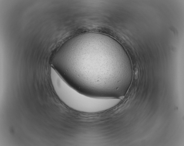 X0000113001156200909101750