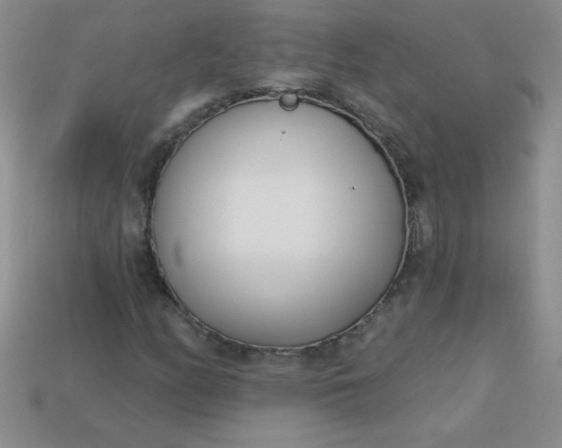 X0000113001158200909101750