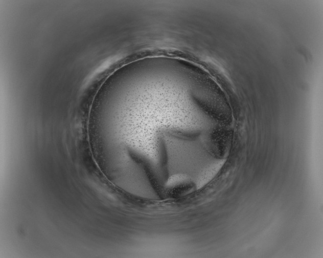 X0000113001159200909101750