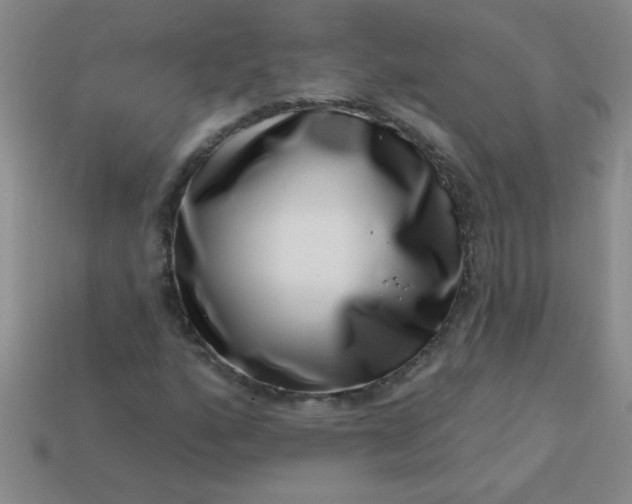 X0000113001160200909101750