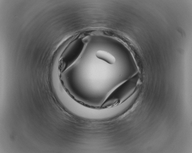 X0000113001162200909101750