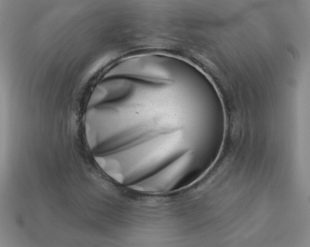 X0000113001163200909101750