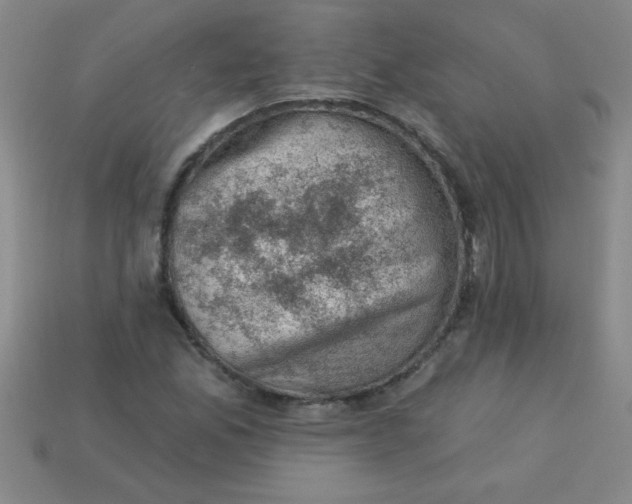 X0000113001165200909101750