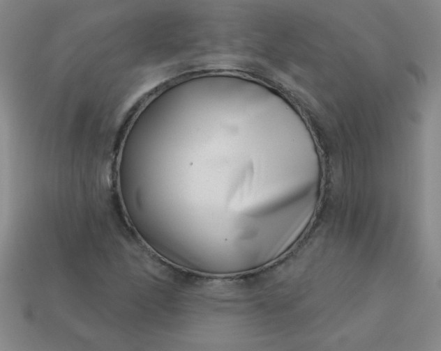 X0000113001166200909101750