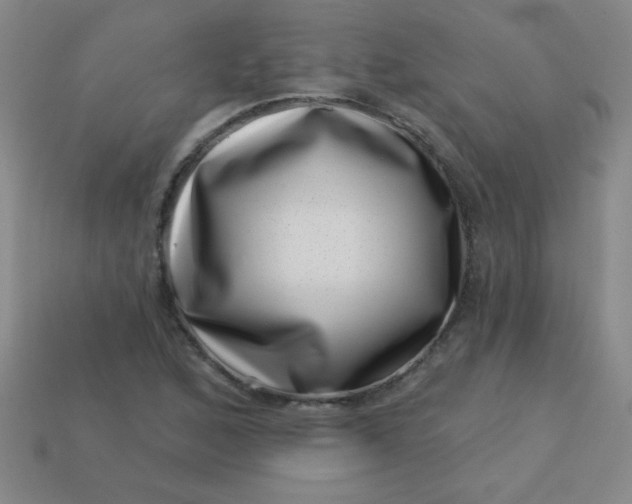 X0000113001168200909101750