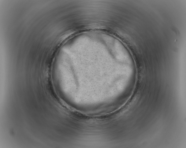 X0000113001169200909101750