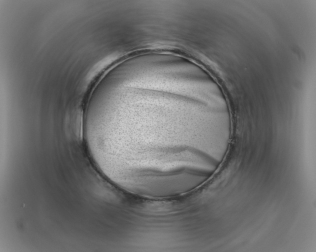 X0000113001171200909101749