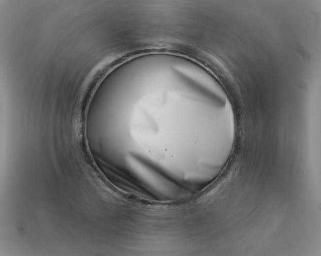 X0000113001172200909101749