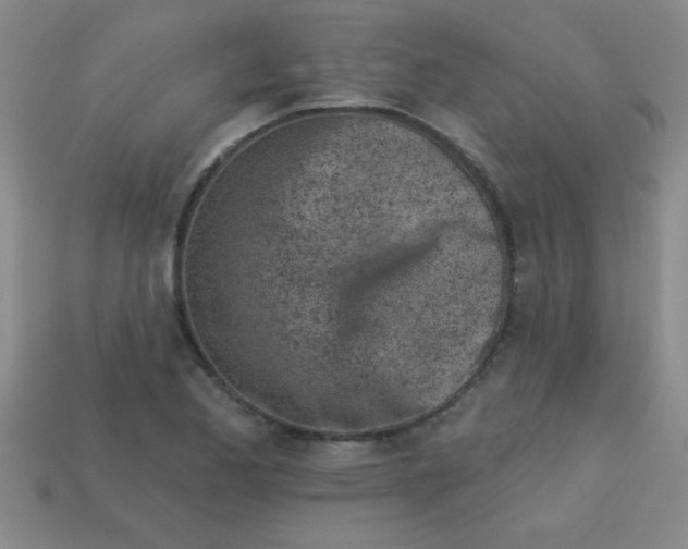 X0000113001173200909101749