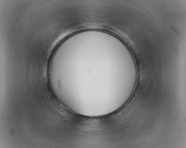 X0000113001174200909101749