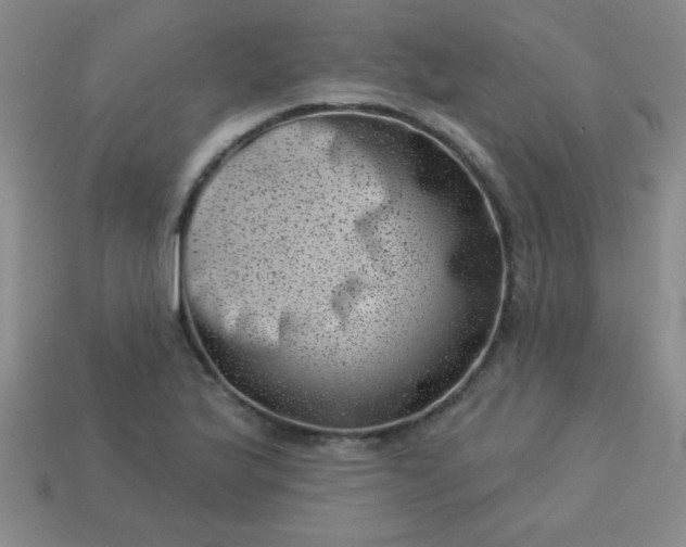 X0000113001175200909101749