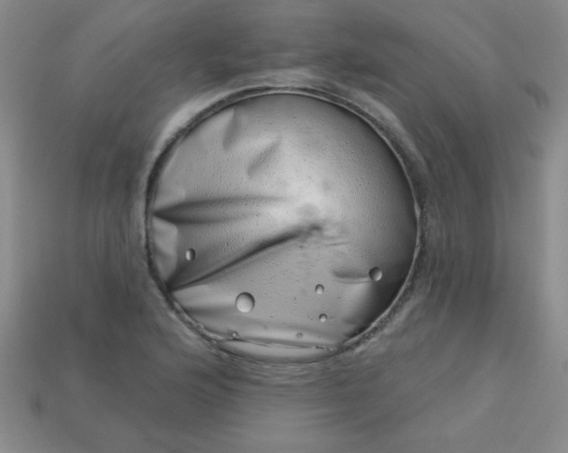 X0000113001176200909101749