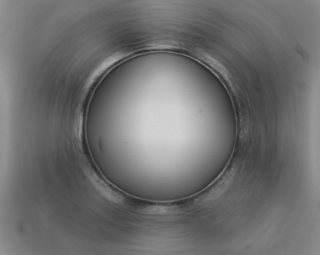 X0000113001179200909101749