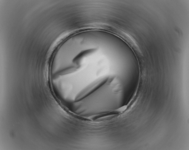 X0000113001180200909101749