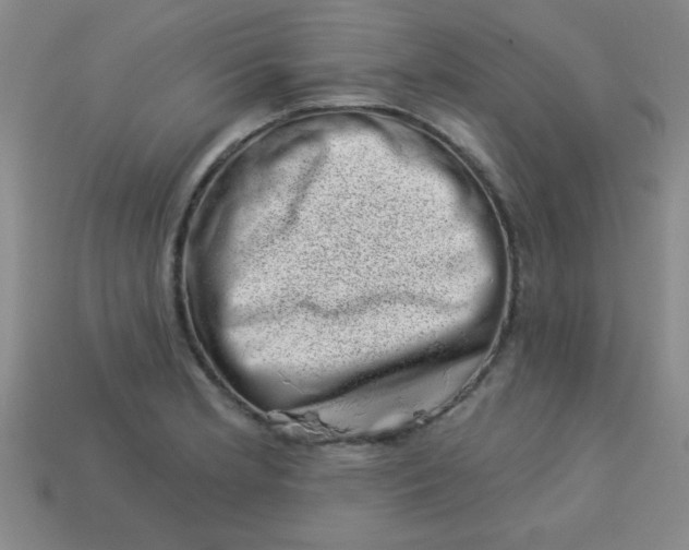 X0000113001181200909101749