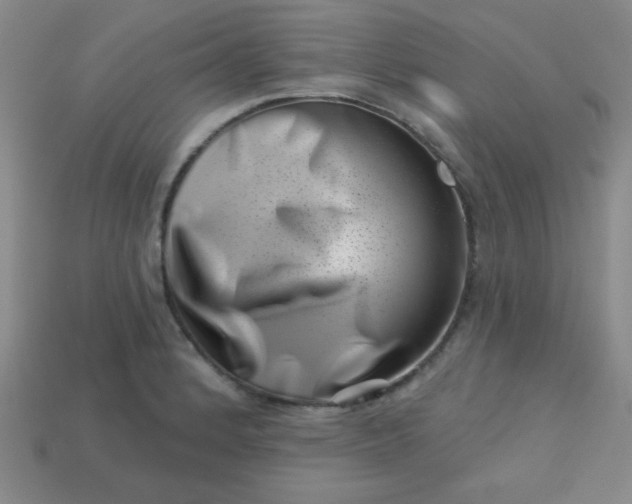 X0000113001184200909101749