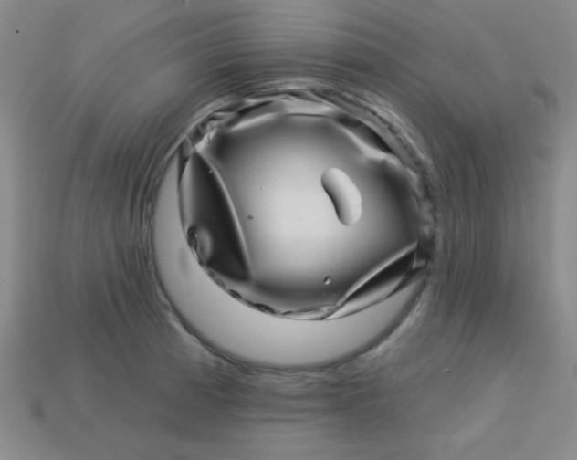 X0000113001185200909101749