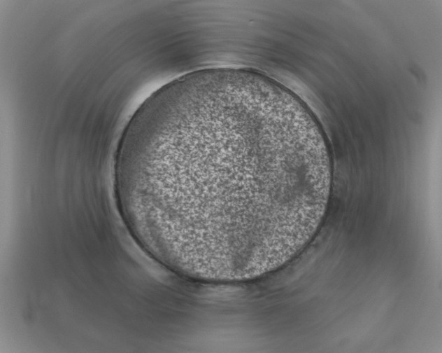 X0000113001187200909101749