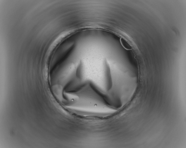 X0000113001188200909101749