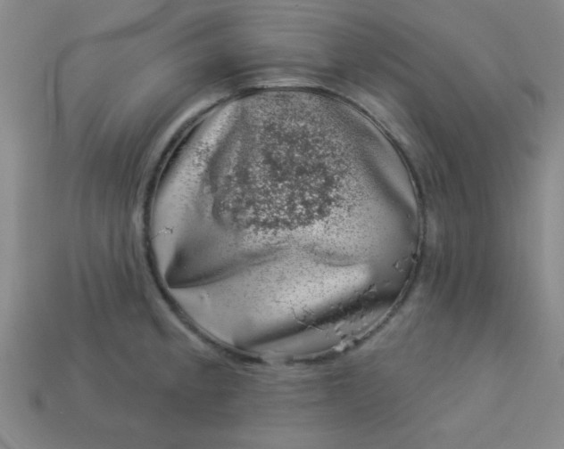 X0000113001189200909101749