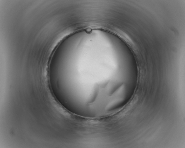 X0000113001190200909101749