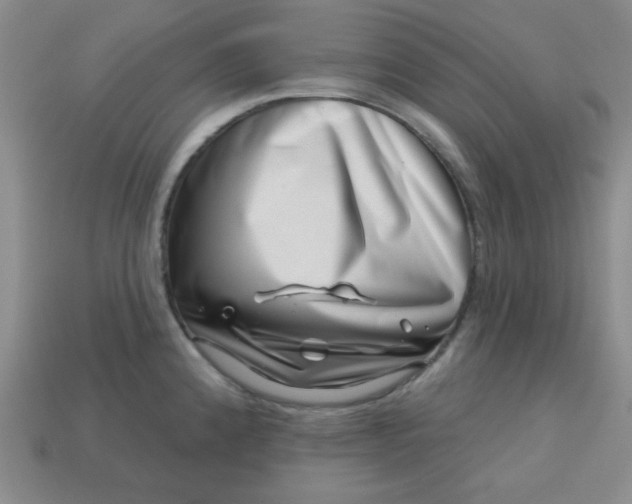 X0000113001192200909101749