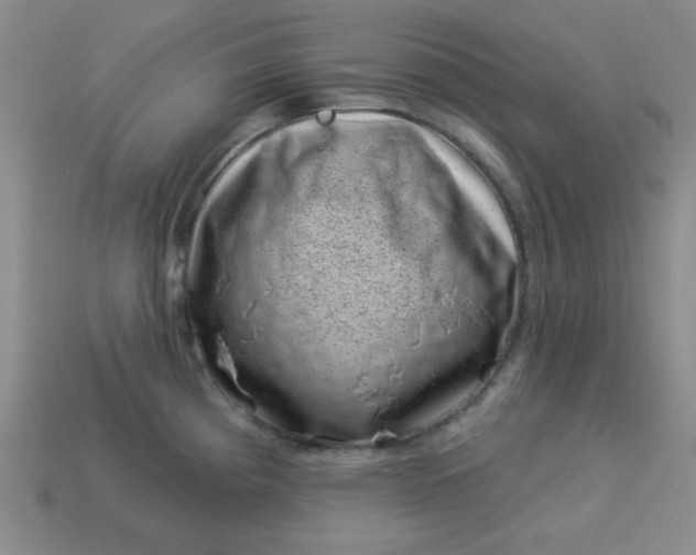 X0000113001193200909101749