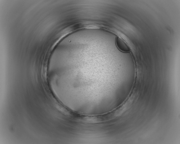 X0000113001194200909101749