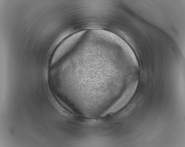 X0000113001195200909101749