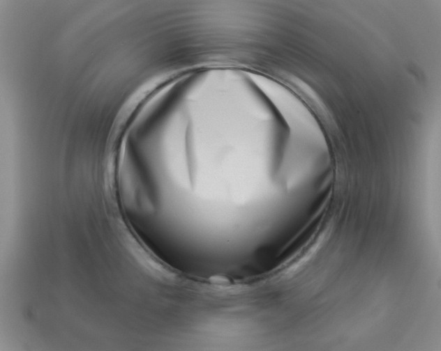 X0000113001196200909101749