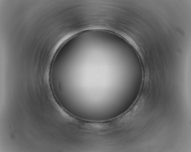 X0000113001197200909101749