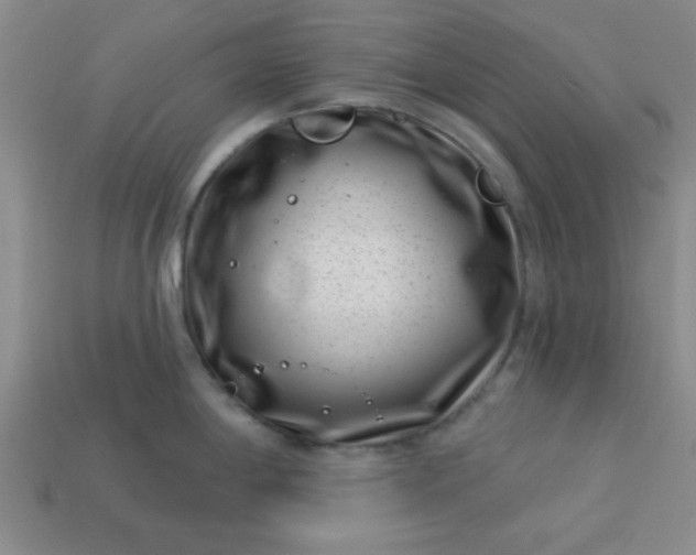 X0000113001198200909101749