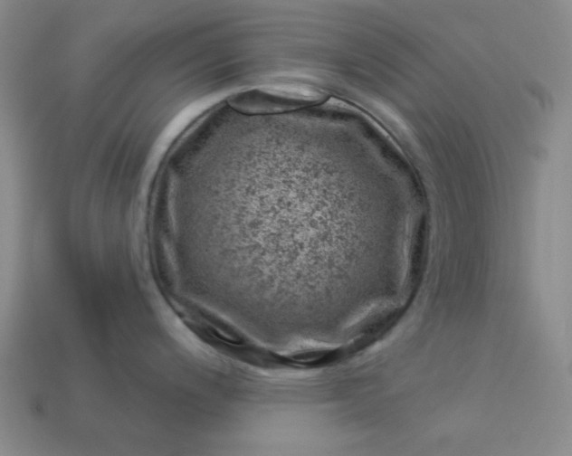 X0000113001200200909101749