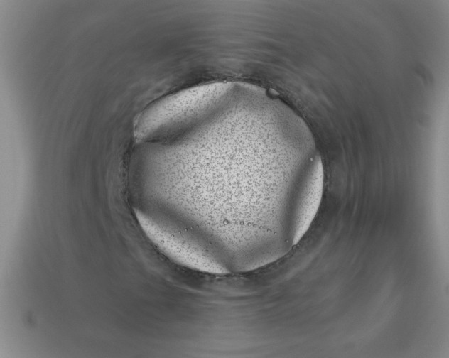 X0000113001201200909101749