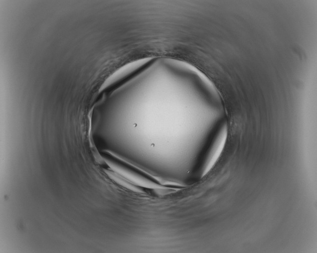 X0000113001202200909101749